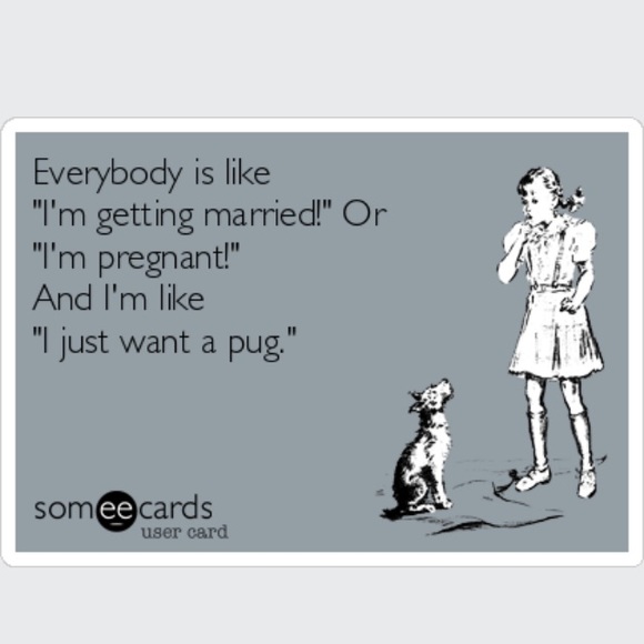 Pugs for the Kitchen - Picture 7 of 7